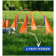 Ein weißer Hund navigiert einen Agility-Kurs mit orangefarbenen Hürden und Reifen auf Gras, mit dem Text "2 PROFI HÜRDEN."
