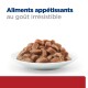 Assiette de morceaux humides de nourriture pour animaux brune avec le texte « Aliments appétissants au goût irrésistible » au-dessus sur fond blanc.