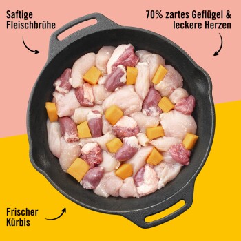 Eine gusseiserne Pfanne mit rohen Hühnerstücken und frischen Kürbiswürfeln, mit dem Text: "70% zartes Geflügel & schmackhafte Herzen" und "frischer Kürbis."