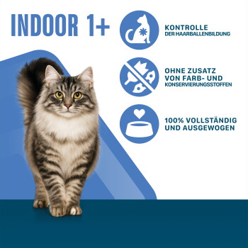 Getigerte Katze mit dem Aufkleber 'INDOOR 1+'; deutscher Text: reduziert Haarballen, keine zugesetzten Farb- oder Konservierungsstoffe, 100% ausgewogen