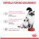 Bild einer Mutterkatze und ihrem Kätzchen neben einer roten Schüssel mit Royal Canin Katzenfutter, mit Text, der die gesundheitlichen Vorteile für Mutterkatzen und Kätzchen hervorhebt.