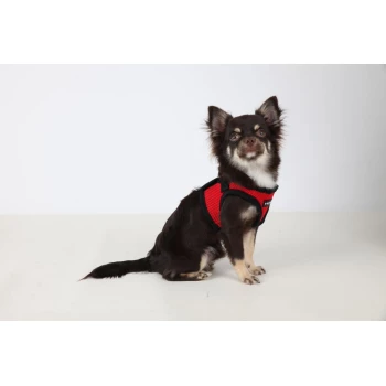Acheter un harnais pour chien Puppia en ligne