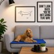 Ein kleiner Hund, der auf einem grauen Sofa mit einer blauen Matte entspannt, umgeben von gerahmten Kunstwerken mit einer einfachen Hundeskizze und einem motivierenden Zitat.