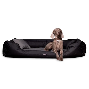 NESTOR -Orthopädisches Hundebett | Starkes Oxford 2000D DUO | Extra Robust graphit schwarz 90 cm, 22 cm, 75 cm Ein elegantes schwarzes Hundebett mit einem grauen Kissen, auf dem ein entspannter Weimaraner-Hund liegt, der Komfort und Stil zeigt.