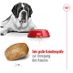 Ein großer Hund liegt neben einer roten Schüssel mit Trockenfutter, mit einer Nahaufnahme des Trockenfutters und dem Text: "Sehr große Krokettengröße zur Anregung des Kauens."