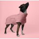Ein stilvoller Hund in einem weichen rosa Fleece-Mantel, der vor einem rosa Hintergrund steht und nach oben schaut.