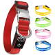 Ein rotes Haustierhalsband mit einer silbernen Schnalle und D-Ring, neben vier bunten LED-Halsbändern in Gelb, Grün, Pink und Blau.