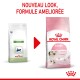 Kitten pour chaton Croquettes Chat 4 kg