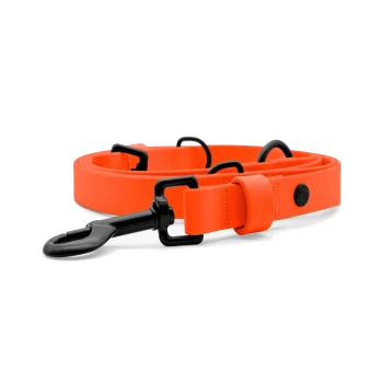 Leuchtend orange Hundeleine mit matt-schwarzem Karabinerhaken und D-Ringen, aufgerollt vor weißem Hintergrund.