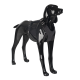 Ein glänzendes schwarzes Hundemanikin mit einem schwarzen Geschirr, das das Design und die Passform des Haustierzubehörs zeigt.
