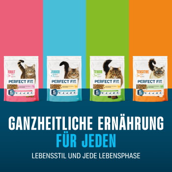 Vier 'Perfect Fit'-Katzenfutterbeutel (Lebensphasen) mit Katzen; großer deutscher Text „Ganzheitliche Ernährung für jeden.“