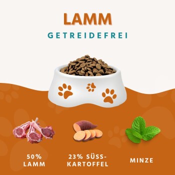 Hundefutter in einer weißen Schüssel mit Pfotenabdrücken, mit 50% Lamm, 23% Süßkartoffel und Minze, beschriftet mit "Lamm Getreidefrei."