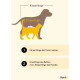Hund- und Katzensilhouetten mit Pfeilen und der Beschriftung 'Körperlänge'; deutscher Text: 'Körperlänge des Tieres messen' und Bettlänge.