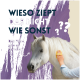 Nahaufnahme eines weißen Pferdes, das mit einer gelben Bürste gepflegt wird. Textüberlagerung: "WIESO ZIEPT DAS NICHT WIE SONST? Dein Pferd wird es genießen."