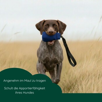 Hund rennt über ein Feld mit einer blauen Apportierpuppe; Text: 'Angenehm im Maul zu tragen'; 'Schult die Apportierfähigkeit Ihres Hundes'