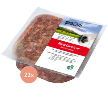 Rohes Hackfleisch-Tierfutter in einer weißen quadratischen Schale auf einem Holzbrett.