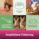 Meerschweinchen trinkt, Hamster frisst, zwei Kaninchen in der Nähe. Text: "Frisches Wasser," "½ - 2 Esslöffel Futter täglich," "Frisches Heu bereitstellen." Titel: "Fütterungstipps."