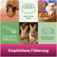Meerschweinchen trinkt, Hamster frisst, zwei Kaninchen in der Nähe. Text: "Frisches Wasser," "½ - 2 Esslöffel Futter täglich," "Frisches Heu bereitstellen." Titel: "Fütterungstipps."