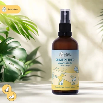 Braune Sprühflasche mit der Aufschrift 'Yuki cares Kokosspray' für Katzen und empfindliche Hunde und Welpen, 100 ml.