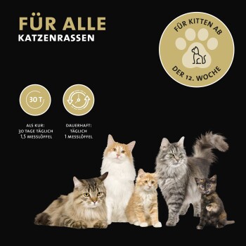 Peticare Diät Schlank Vital Pulver für Katzen, unterstützt Abnehmen-Prozess | 100 gr
