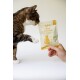 Getigerte Katze riecht an einem handgehaltenen 'KatKare Ente Essential' Leckerlibeutel mit der Aufschrift 'Snack good. Do good. Feel good.'