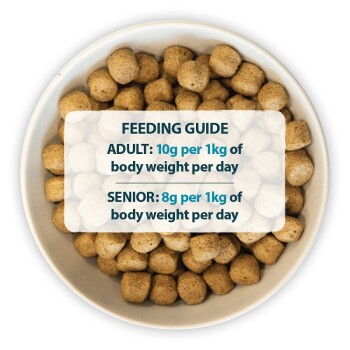 Bowl of pet food kibbles with a feeding guide overlay: "ADULT: 10g per 1kg of body weight per day; SENIOR: 8g per 1kg of body weight per day."