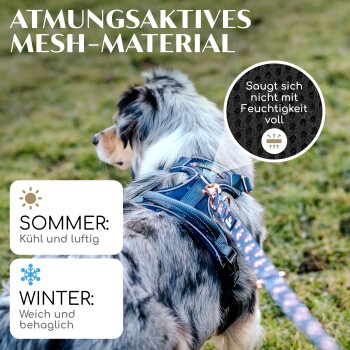 Ein Hund, der ein blaues Geschirr trägt, steht auf Gras, mit Text, der das atmungsaktive Mesh-Material für Sommer- und Wintergebrauch hervorhebt.