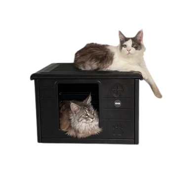 Zwei Katzen, eine sitzt oben und eine ist in einem schwarzen Haustierhaus, beide schauen neugierig in die Kamera.