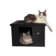 Zwei Katzen, eine sitzt oben und eine ist in einem schwarzen Haustierhaus, beide schauen neugierig in die Kamera.