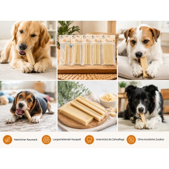Hunde kauen natürliche Dentalsticks; Beschriftungen: 'Natürlicher Kausnack', 'Langanhaltend', 'Zahnpflege', 'Keine künstlichen Zusatzstoffe'