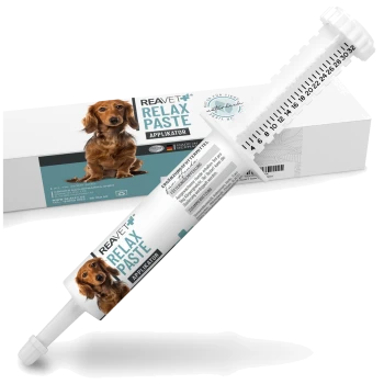 Spritze mit REAVET Relax Paste für Haustiere, mit Verpackung, die ein Hundebild und den Hinweis enthält, dass es sich um einen Applikator handelt, hergestellt in Deutschland.
