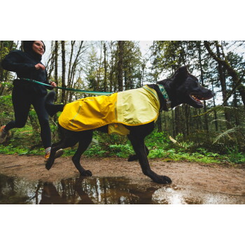 Ein schwarzer Hund, der einen leuchtend gelben Regenmantel trägt, läuft auf einem matschigen Pfad im Wald, während eine Person die Leine hält.