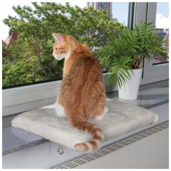 Eine rote Katze sitzt auf einem weichen, beigen Kissen am Fenster und schaut nach draußen ins Grüne, mit einer kleinen Topfpflanze in der Nähe.