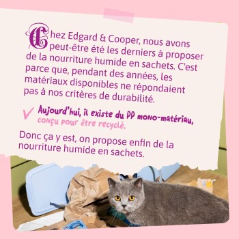 Chat gris aux yeux orange au milieu d'un emballage déchiré ; bandeau rose sur les sachets de nourriture humide recyclables en PP mono-matériau.