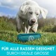 Ein verspielter weißer Hund springt in der Nähe eines türkisfarbenen Haustierprodukts auf Gras, mit Text darunter, der besagt "FÜR ALLE RASSEN GEEIGNET DURCH IDEALE GRÖSSE."