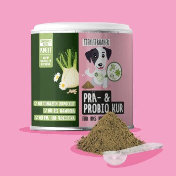 Behälter mit dem Nahrungsergänzungsmittel "Prä & Probio Kur für Hunde", mit einem grünen Design, das Pfotenabdrücke und haustierbezogene Icons zeigt.