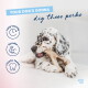 A fluffy golden retriever puppy holds a chew bone in its mouth, set against a soft, blurred background.