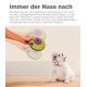Eine Person hält ein grünes und lila UFO-förmiges Hundespielzeug, gekennzeichnet mit "Treat Maze," während ein weißer Bulldoggen in der Nähe sitzt und aufmerksam schaut.