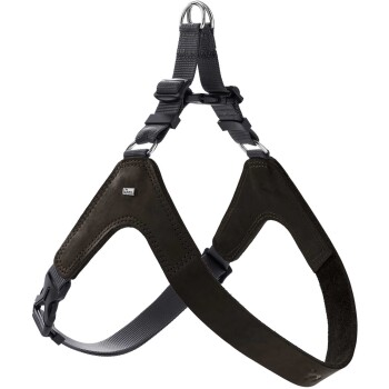Geschirr Dimaro schwarz XS-S