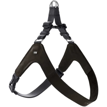 Geschirr Dimaro schwarz XS-S Ein schwarzes Hundegeschirr mit verstellbaren Riemen und einem Metall-D-Ring zur Leinenbefestigung, mit einem Logo-Tag auf der Vorderseite.