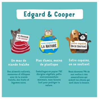 Illustration pour Edgard & Cooper mettant en avant un chien et un chat promouvant de la viande fraîche, le respect de l'environnement et le soutien aux œuvres de charité pour les animaux.