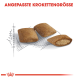 Drei braune Hundefutterkroketten werden auf einem skizzierten Gitter präsentiert, mit dem Text "ANGEPASSTE KROKETTENGRÖSSE" darüber.