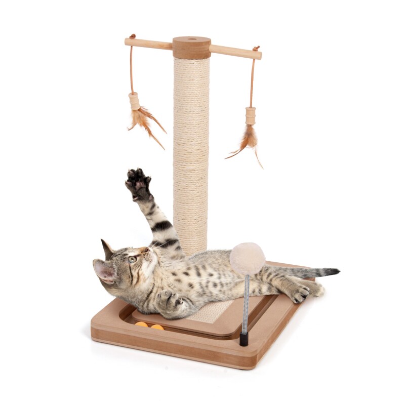Canadian Cat Company Kratzstamm Playtop