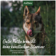 Nahaufnahme eines Hundes, der sich in einem grasbewachsenen Feld die Lippen leckt, mit "Gutes Futter benötigt keine künstlichen Vitamine" und dem Aniforte-Logo.