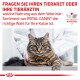 Eine getigerte Katze auf einem Tierarzttisch, mit einem Tierarzt im weißen Kittel. Text: "Fragen Sie Ihren Tierarzt, welches ROYAL CANIN® Futter für Ihre Katze geeignet ist."