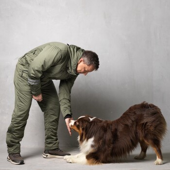 Eine Person in einem grünen Overall interagiert mit einem braun-weißen Australian Shepherd Hund, beide wirken freundlich und engagiert.