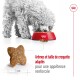 Mini Adulte 8 kg