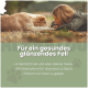 ALPHAZOO Bierhefe-Tabletten für Hunde und Katzen, die Immunität und glänzendes Fell mit Vitaminen B, Folsäure und Biotin fördern.