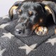 Petlife Sherpa Fleece Crate Mat Grey with White Stars XL