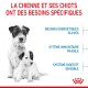 Chienne et chiots avec le texte français : "La chienne et ses chiots ont des besoins spécifiques" concernant leur énergie, leur immunité et leur digestion.